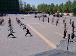 International Shaolin Temple Traditional Wushu Institute thumb 5
